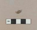Unidentified plastic fragment, possibly garment grommet