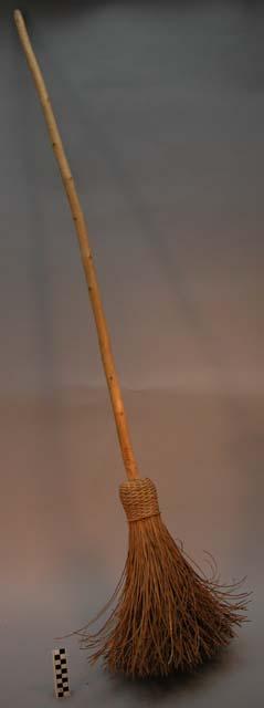 Broom with handle