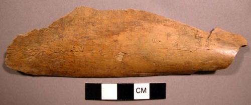 "Oracle bone"- inscribed