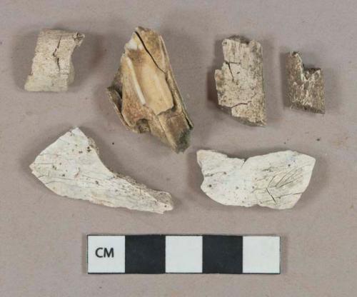 Heavily burned/calcined bone fragments, ungulate tooth fragment
