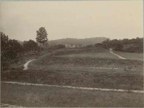 Section of serpent looking west along neck