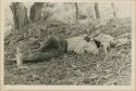 Man laying on the ground after a dance