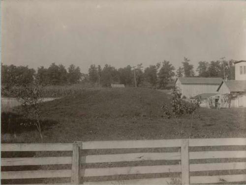 Mound on farmland