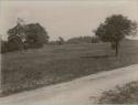 Farm field and dirt road