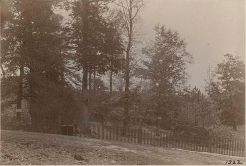 Picnic grounds at the south-eastern corner of the park