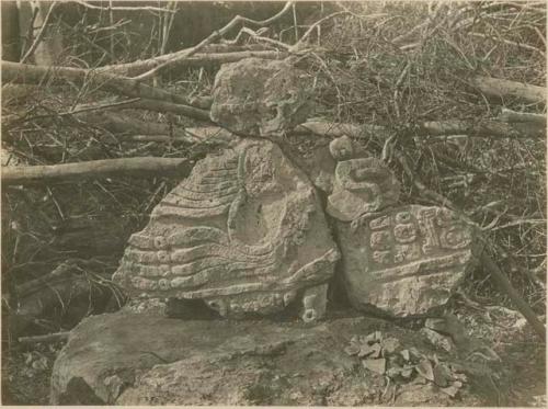 Fragments of Stela D2