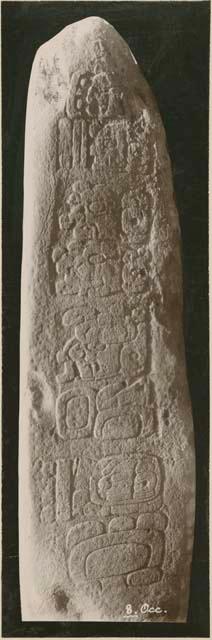 Stela 8, west side