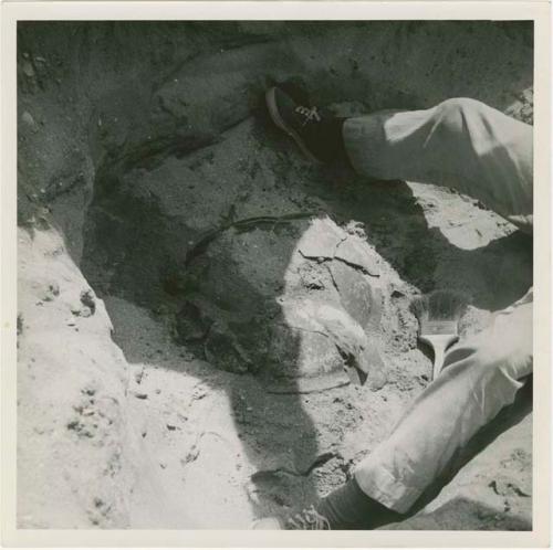 Area C, Trench 4, Cache 5, large bowl under tree with crocodile in relief