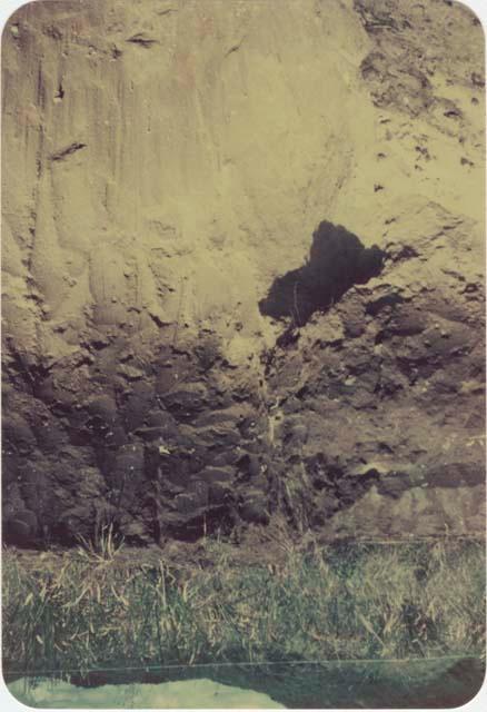 Area B, Trench 1, showing cut to coquina