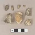 Animal bone fragments; calcined animal bone fragments