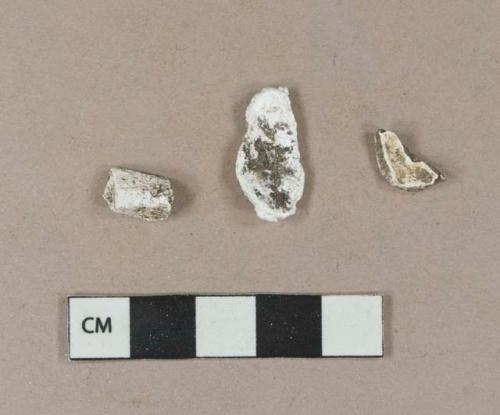 Shell fragment; calcined animal bone fragments