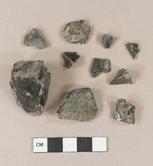 Coal fragments, unburned