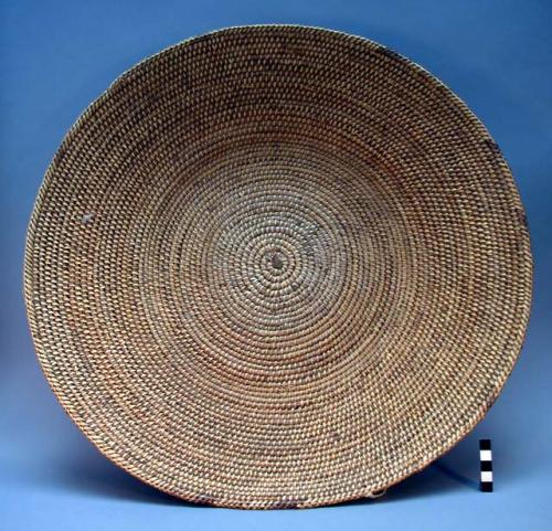 Large basketry tray