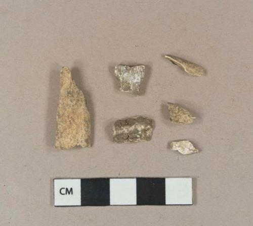 Animal bone fragments; calcined animal bone fragments