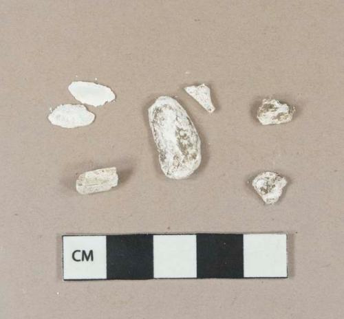 Calcined animal bone fragments; shell fragments