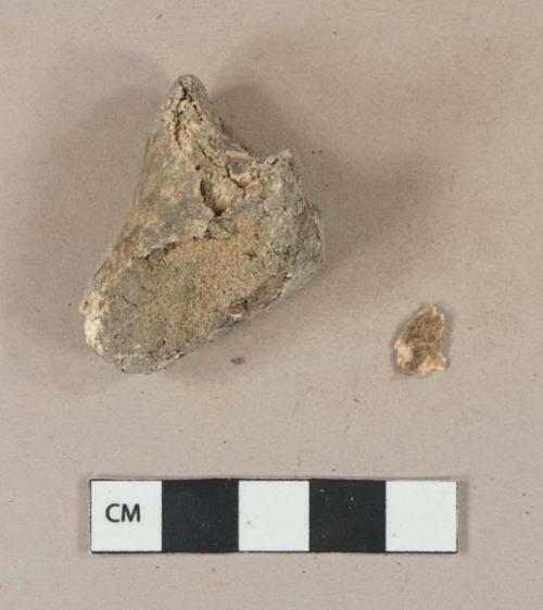 Unidentifed mammal bone fragment