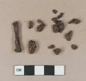 Unidentified iron nail fragment; unidentified iron fragments, likely originally part of nail