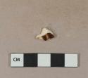 Whieldon ware body sherd