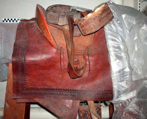 Mexican saddle flap
