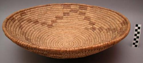 Coiled basket tray