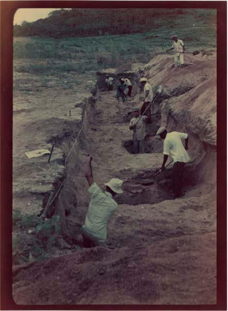 Area C, Trench 2, digging