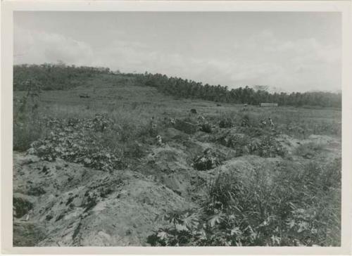 Area A, looking east across Trench 4 from southeast, back dirt of Trench 6