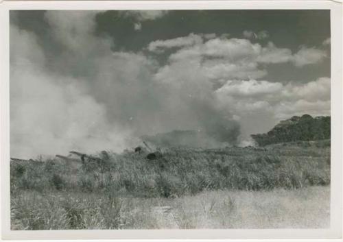 Army burning grasses, looking north from center of Area B