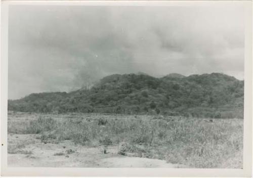 Army burning grasses, looking west from Area B, Trench 4