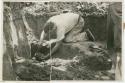 Samuel K. Lothrop excavating stone balls