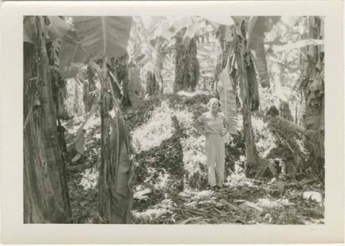 Farm 4, Section 23, Site B, looking south at mound with Dr. Doris Stone