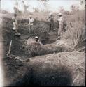 Area B, Trench 7, breaking surface of excavation site