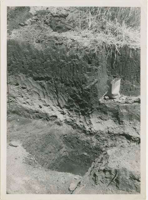 Area A, Trench 7, north face of first cut