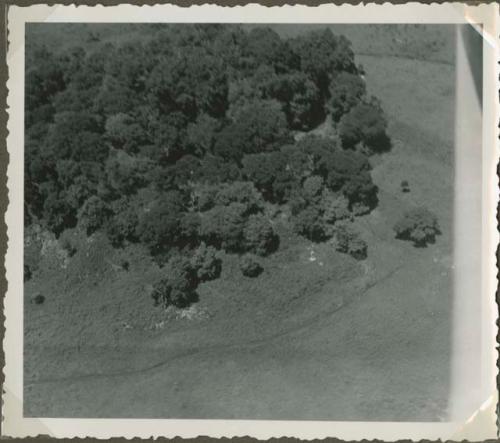 Aerial photograph of fields