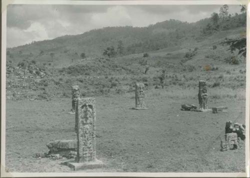 Stelae in an open field