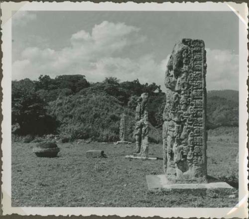 Upright stelae in an open field