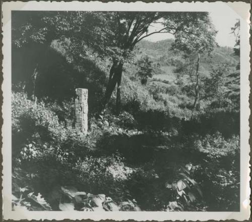 Upright stela in open area with trees and hillside