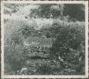 Flat stone sculpture in an overgrown field