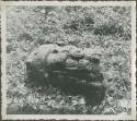 Stone sculpture in an overgrown field