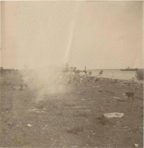 Open field with people and cattle near a body of water