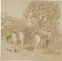 Three men with pack-mules in front of a large cactus