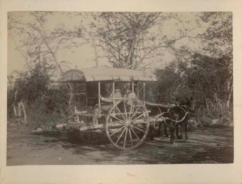 Men on a two-burro covered cart