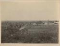 View of open fields and dirt road leading to a factory