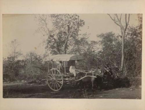 Two men in a two-burro covered cart along a dirt road