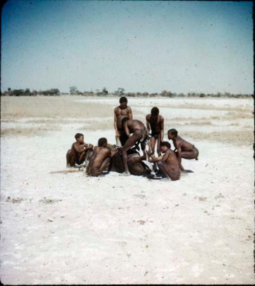 Group of men cutting up wildebeests in a pan