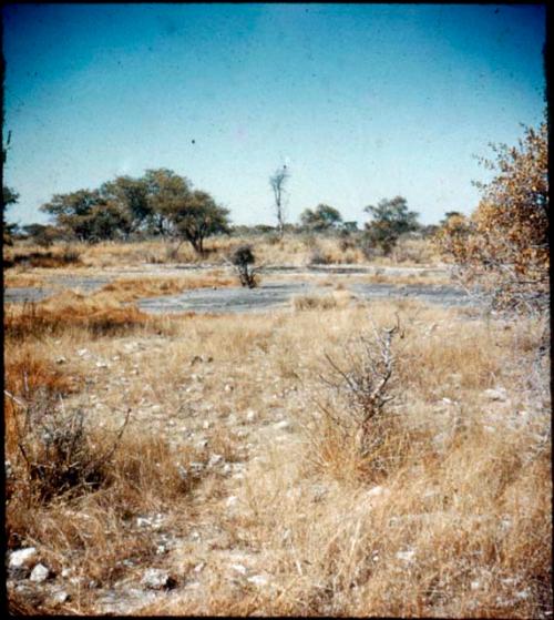 Dry pan near Gautscha