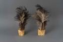 Pair of ostrich plume armbands - part of medicine man's costume