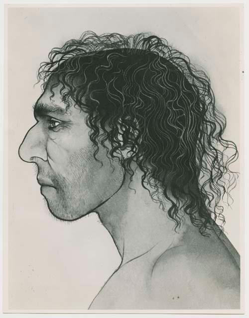 Mount Carmel man reconstruction (photograph of drawing)