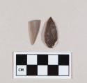 Flint bladelets; retouched  points; brown and gray-colored stone