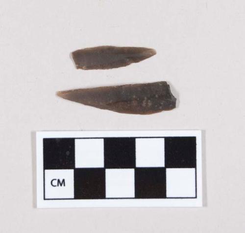 Flint bladelets; retouched points; brown-colored stone