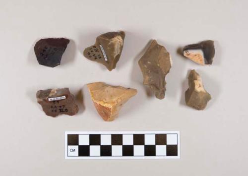 Flint flakes; six with cortex; ten and brown-colored stone